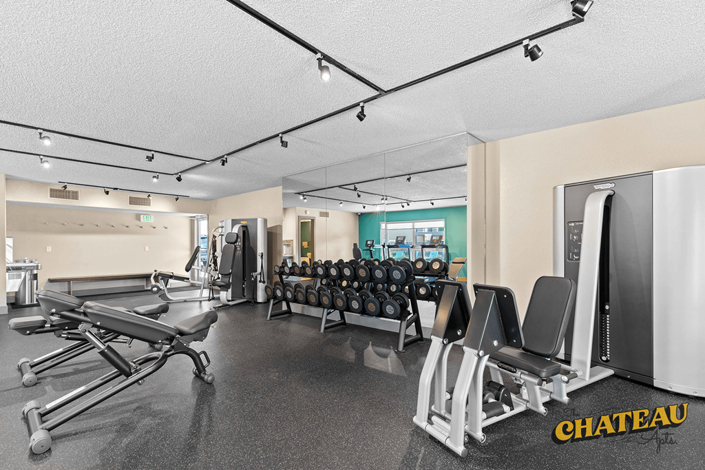 the gym is equipped with cardio equipment and weights