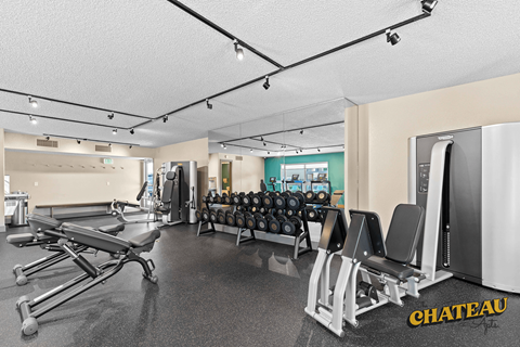 the gym is equipped with cardio equipment and weights