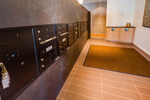 a locker room with black cabinets and a rug on the floor