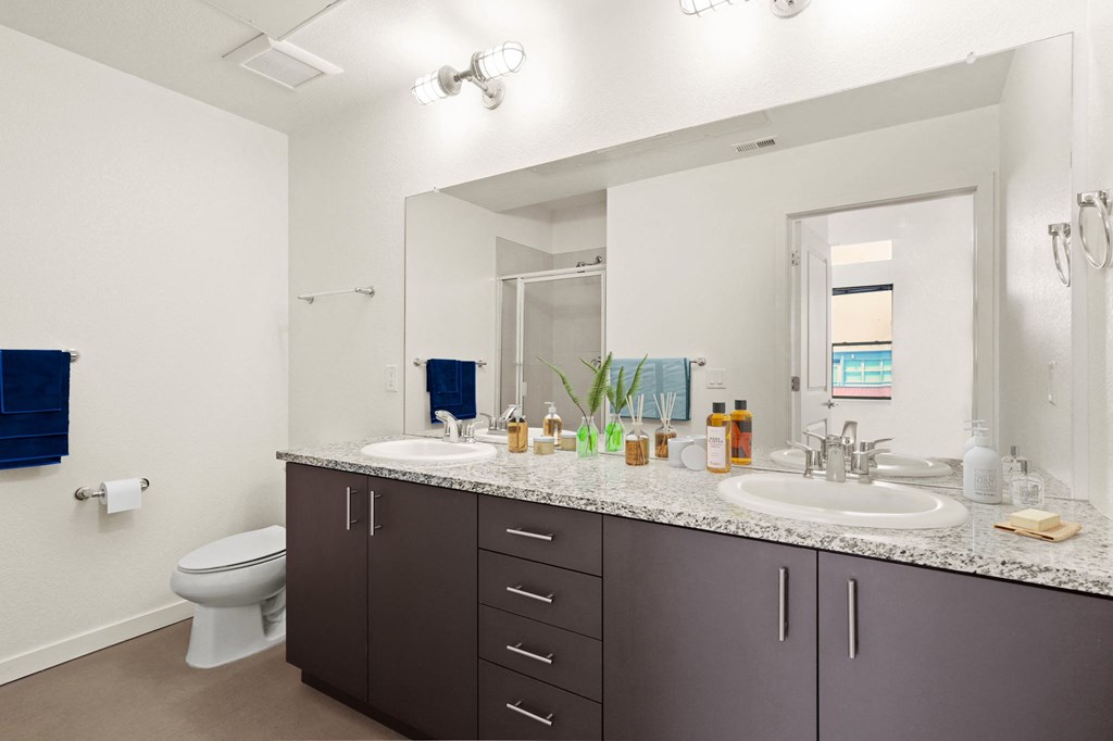 Curtis Street Lofts Apartments in Denver, CO