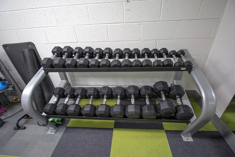 A set of dumbbells are arranged on a rack in a gym.