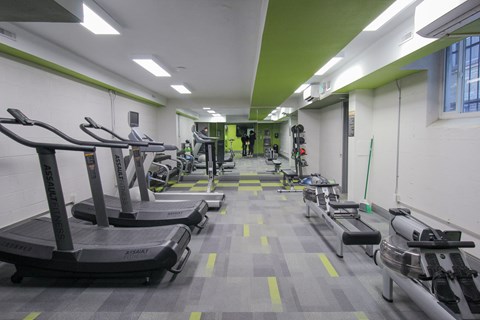 A gym with treadmills and elliptical machines.