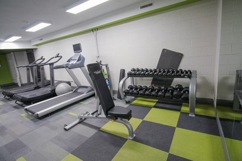 A gym with a treadmill, a bench, and a rack of dumbbells.