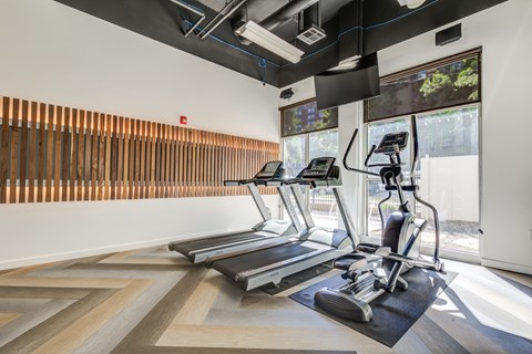 three treadmills and yoga mats in a gym with large windows