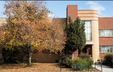 A tree with orange leaves is in front of a red brick building.