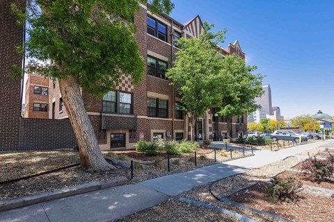 A large tree is in front of a brick building.