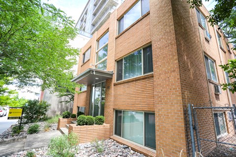 A red brick building with a green tree in front.