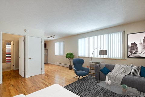 A living room with a grey couch, a blue chair, and a small potted plant.