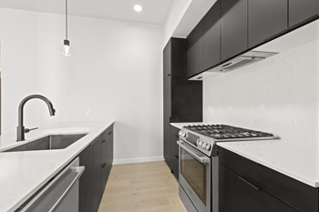 The Victor Apartments in Denver, Colorado - Photo Gallery 2