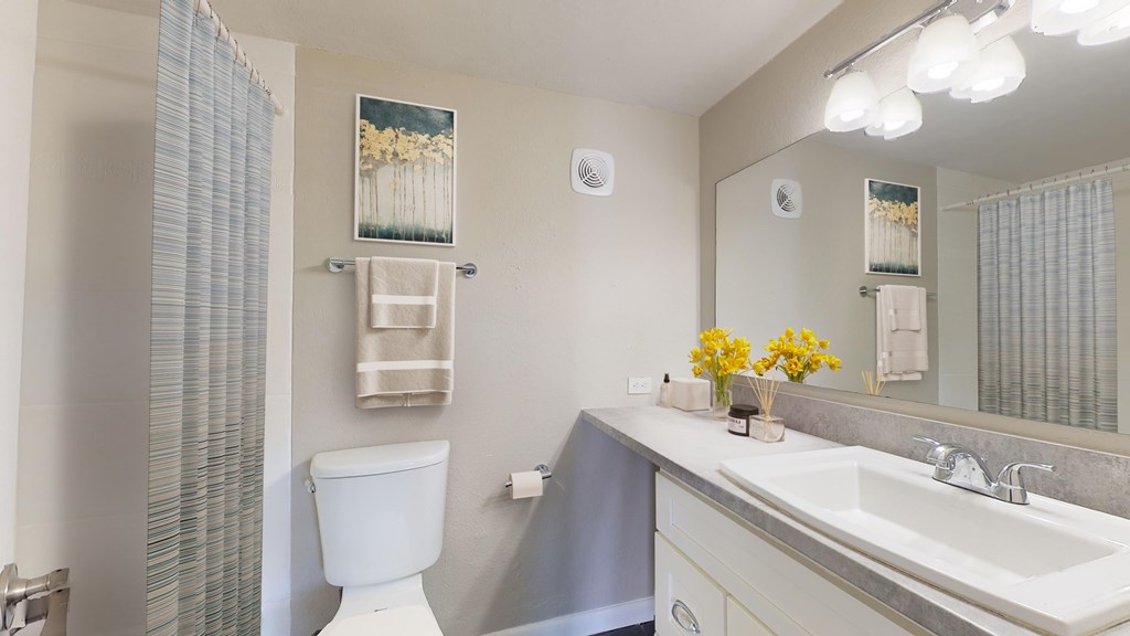 A white toilet sits next to a sink in a bathroom.