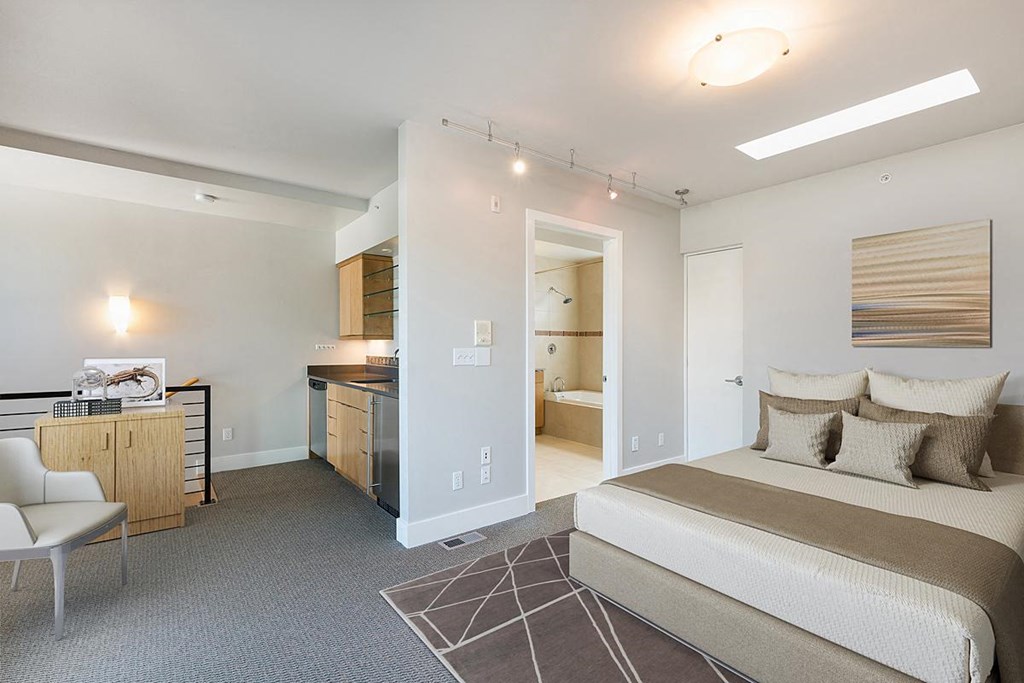 Washington Street Townhomes in Denver, CO