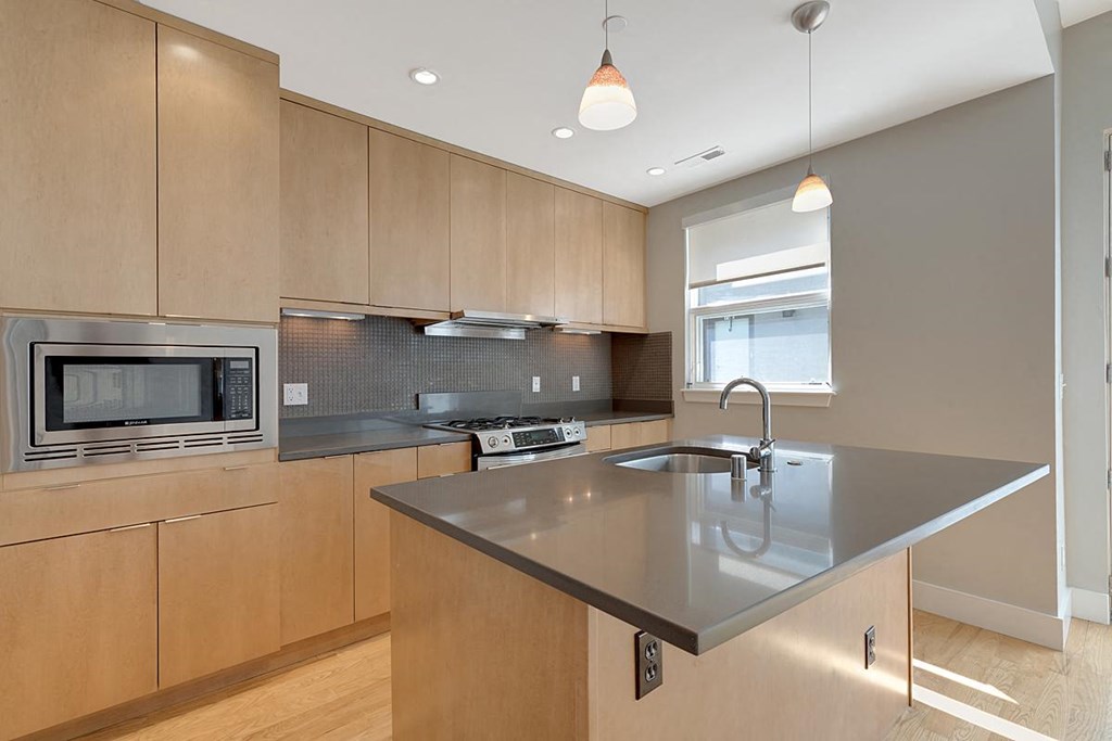 Washington Street Townhomes in Denver, CO