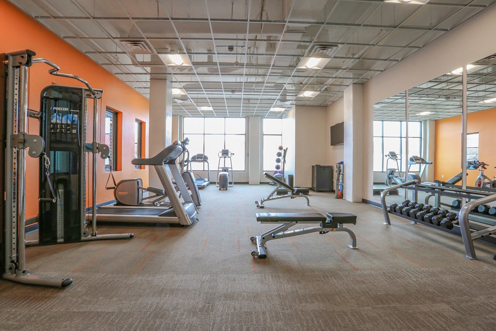 The Wheatley Flats in Denver, Colorado