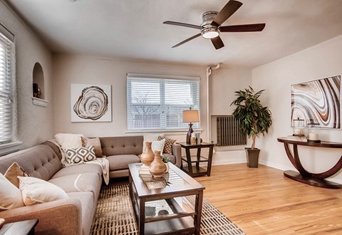 A living room with a grey couch, a coffee table, a potted plant, and a ceiling fan.