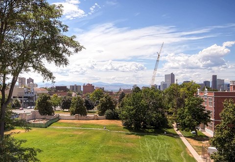 A green field with trees and buildings in the background.