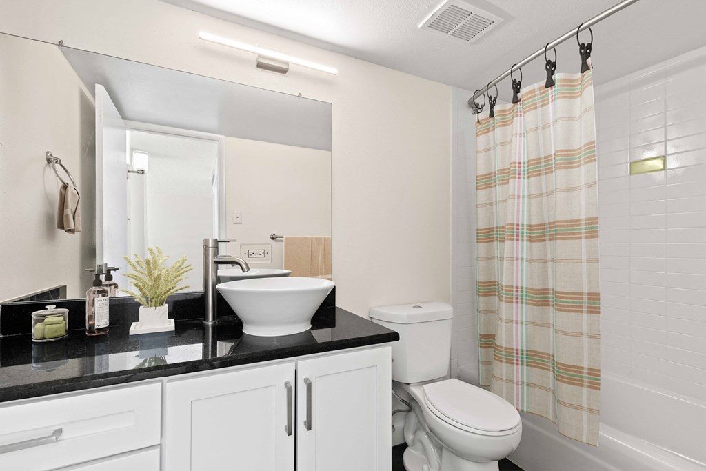 a bathroom with a sink and a toilet and a shower