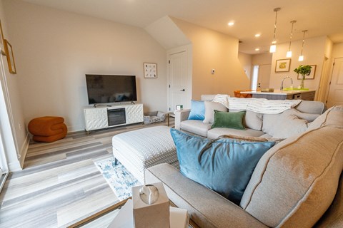 a living room with a couch and a tv