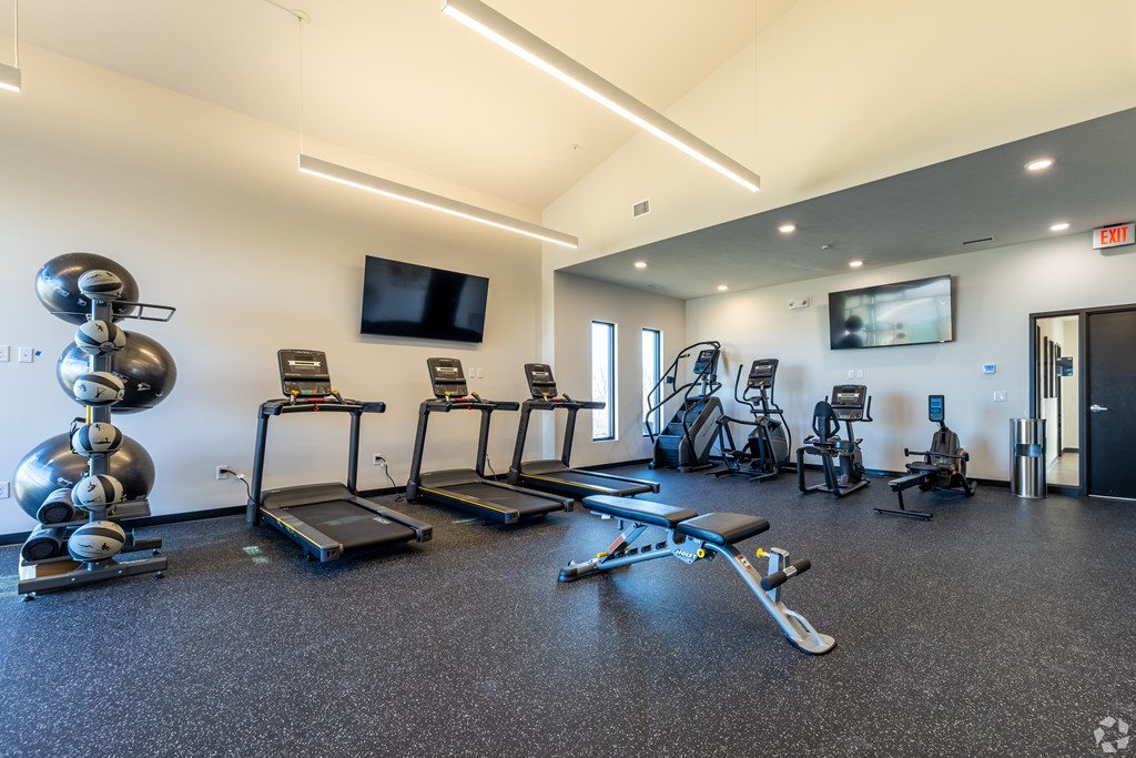 A gym with treadmills, exercise bikes, and other equipment.