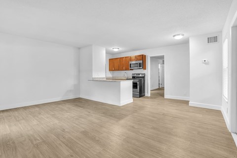1 bedroom living/dining room