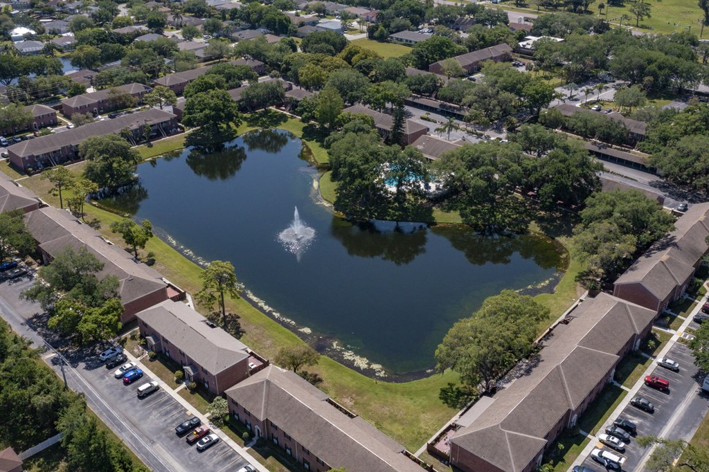 an aerial view of a pond in the middle of a neighborhood with houses and cars