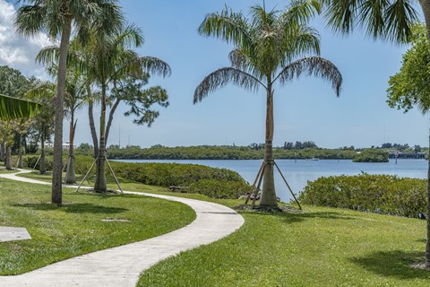 a path through a park with palm trees and a body of water