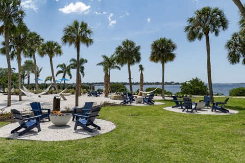 a park with chairs and palm trees overlooking the water