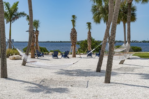 a hammock on the beach with palm trees