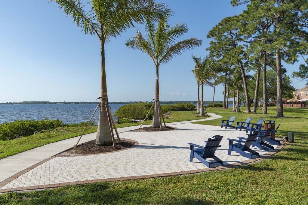 a park with benches and palm trees near the water