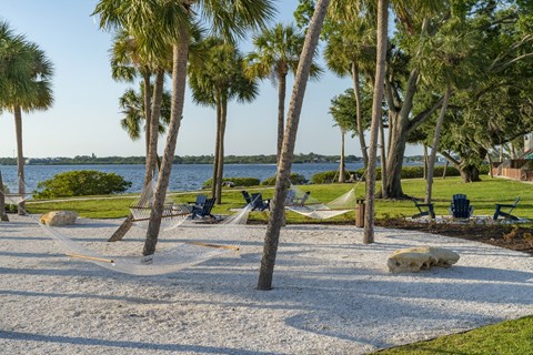 a park with hammocks and palm trees overlooking the water