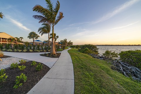 a sidewalk next to the water with palm trees