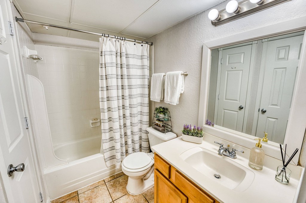a bathroom with a sink toilet and a shower