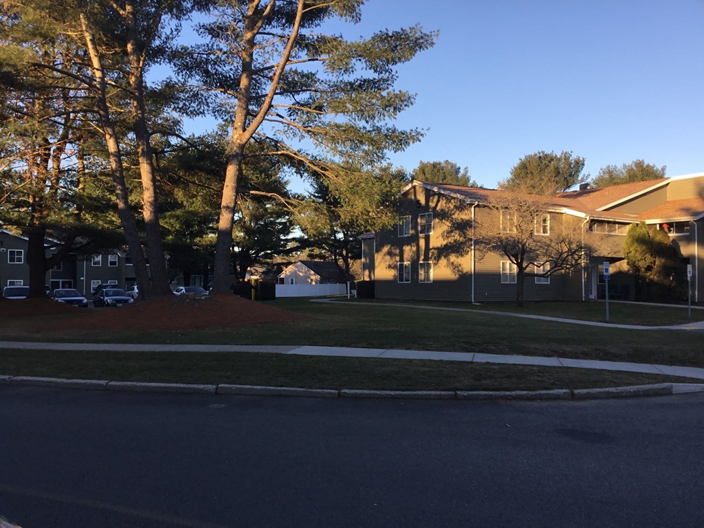 a row of houses on a street with trees