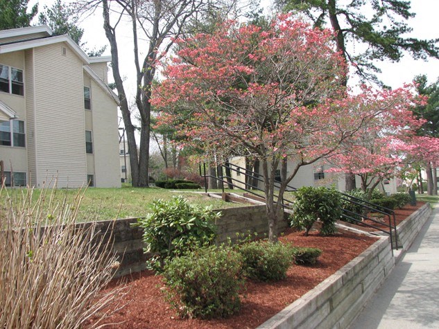 beautifully landscaped grounds