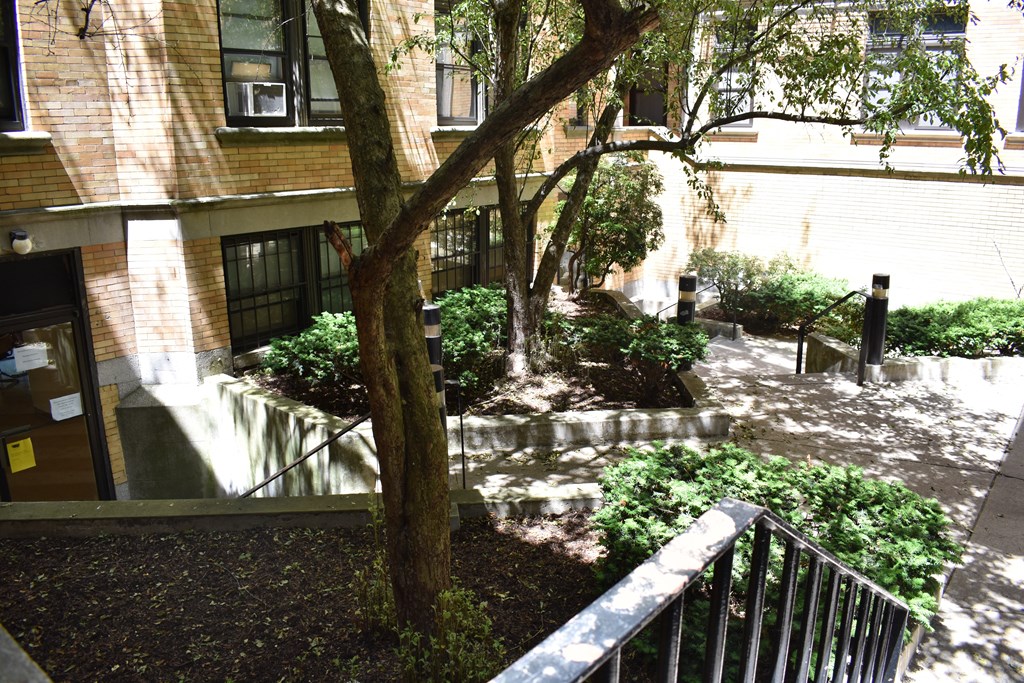 A Shady Reprieve on a Hot Summer Day