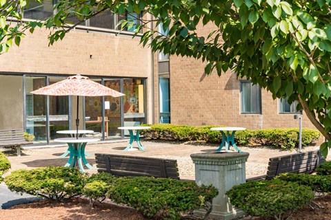 A patio with a table and chairs is surrounded by bushes and trees.