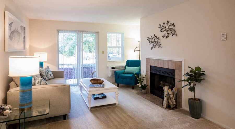 Living Room and Fireplace