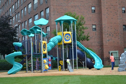 A playground with a blue slide and a yellow slide.
