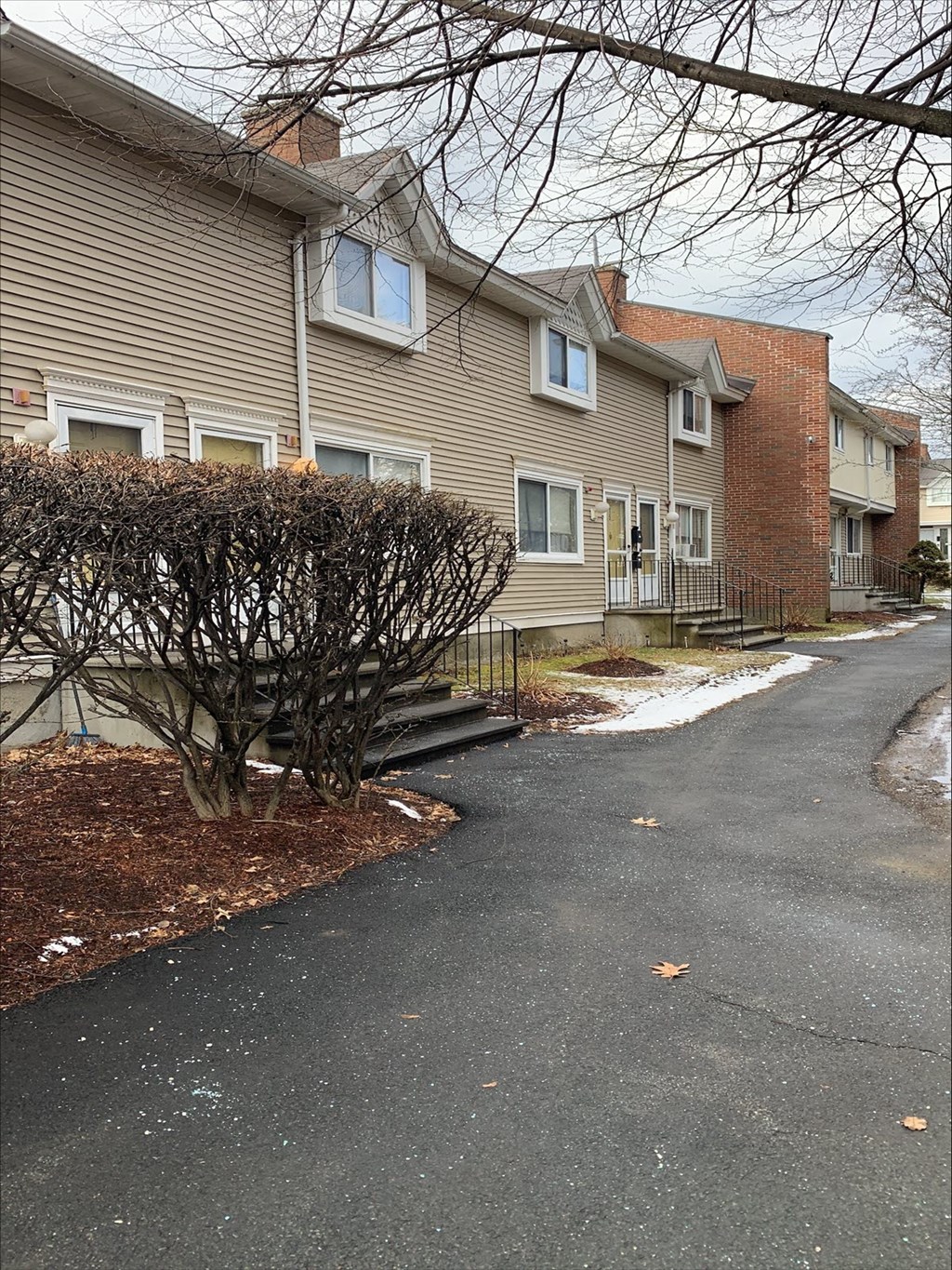a street in front of a house with a tree in front