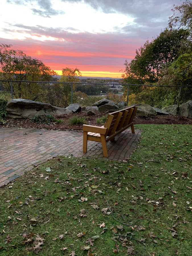 a wooden bench sitting on top of a grass