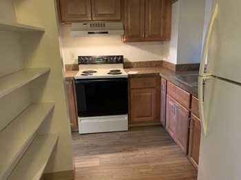 240-244 Belmont Street 1-2 Beds Apartment for Rent - Photo Gallery 4