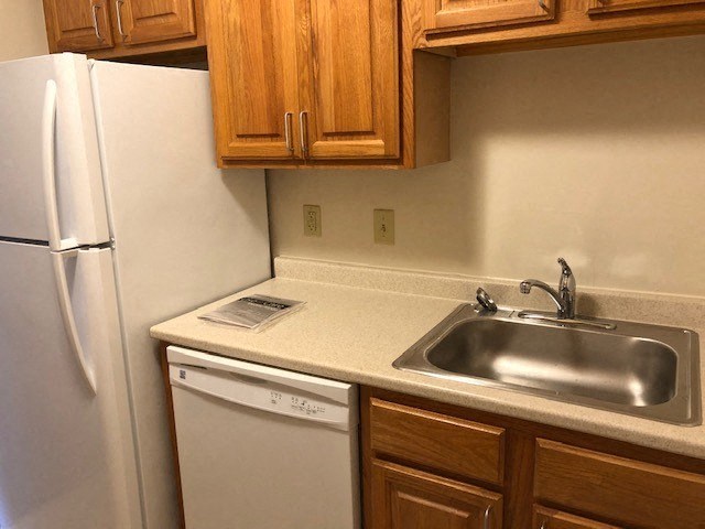 Kitchen  area, sink, dishwasher and refridgerator
