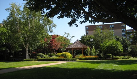 a gazebo in the middle of a park
