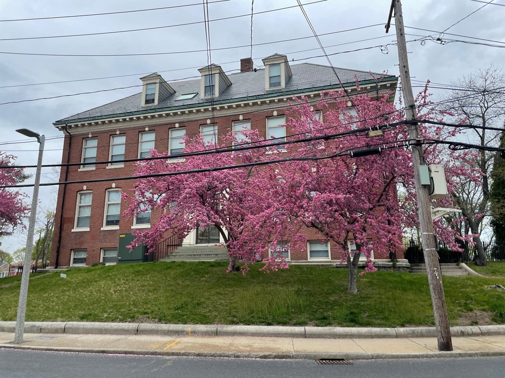 a building on the side of a street with a pink flowering tree