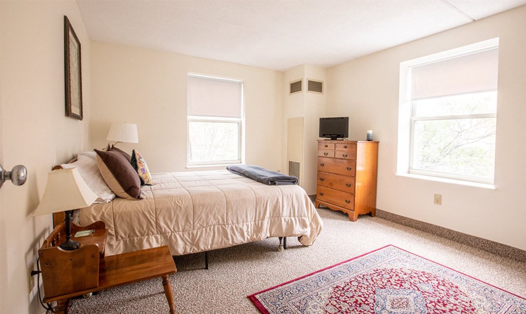 a bedroom with a bed and a dresser and two windows