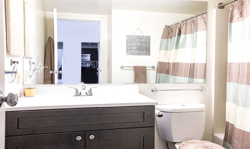 a bathroom with a toilet and a sink and a mirror