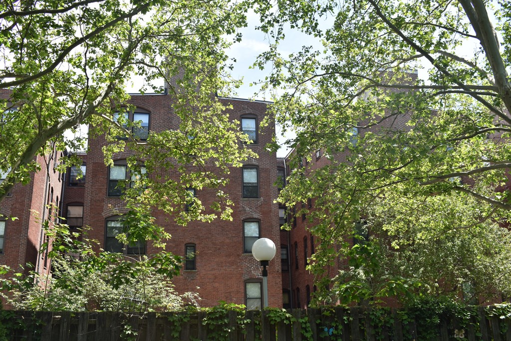 Rare to Find so Much Green and Shade in the City!