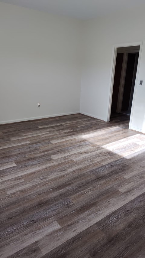A room with a wooden floor and a door.