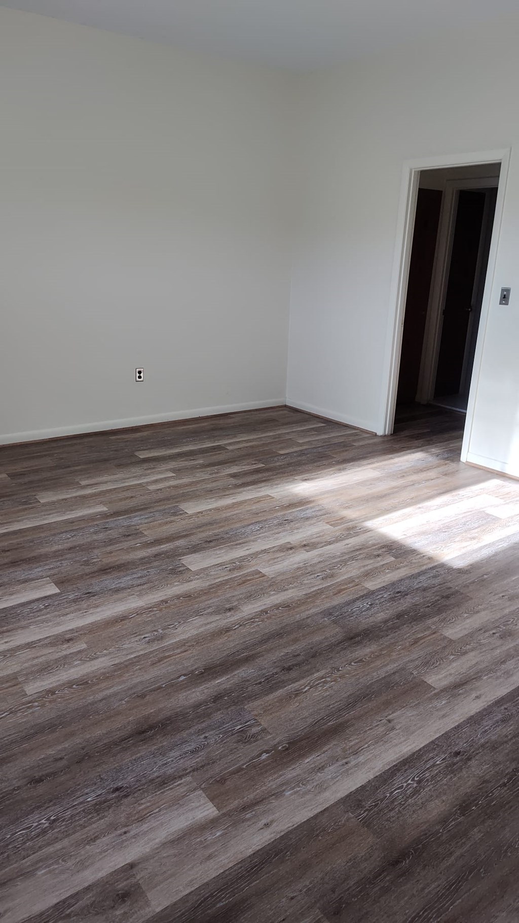 A room with a wooden floor and a door.