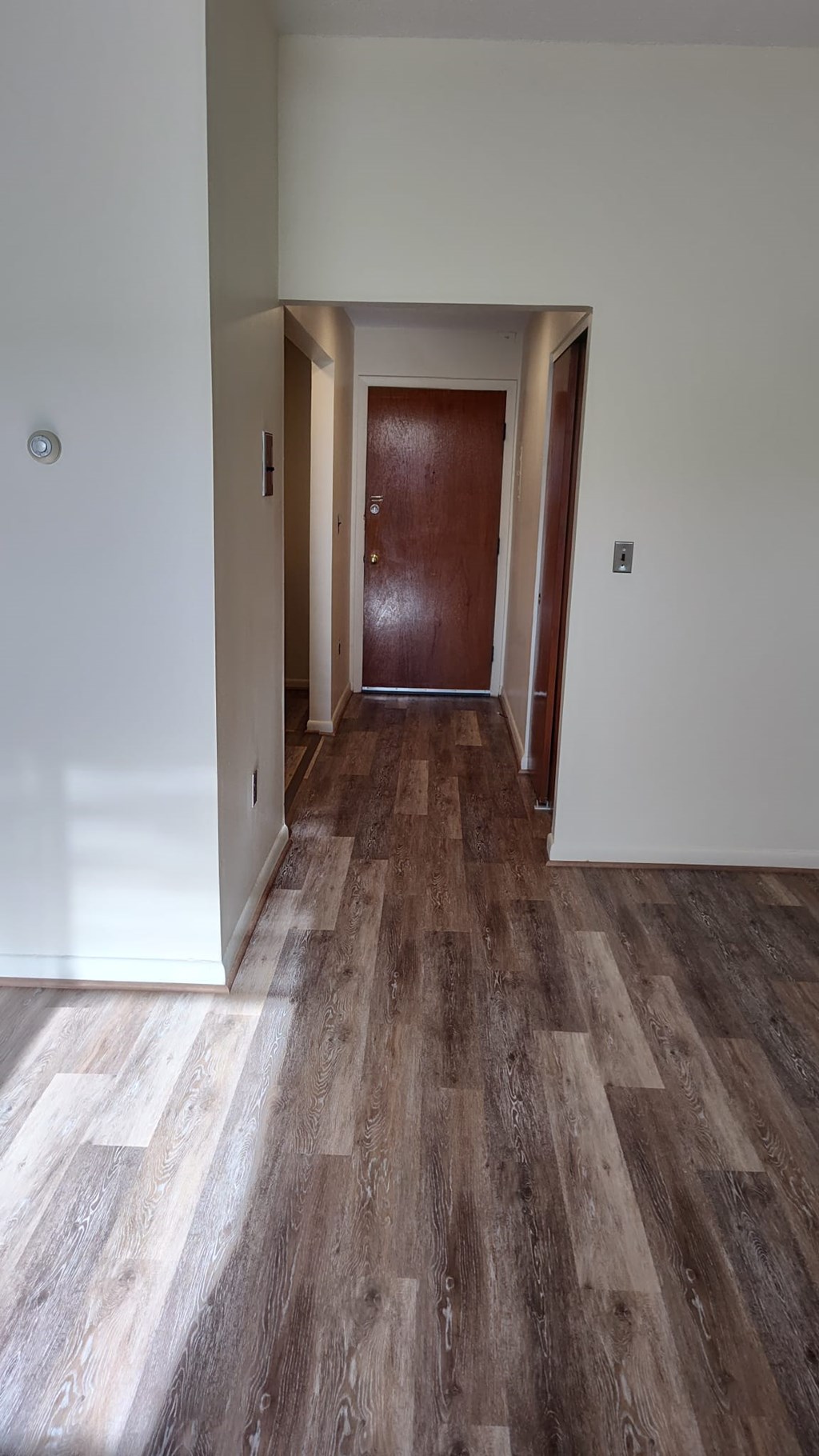 A hallway with a wooden floor and a brown door.