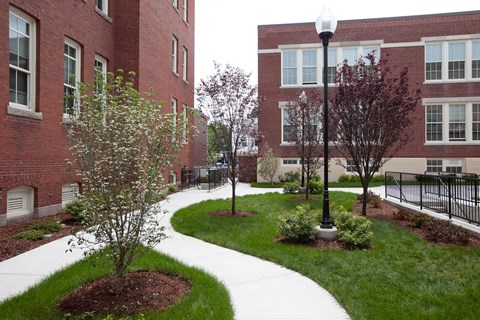 A tree in a flower bed in front of a brick building.